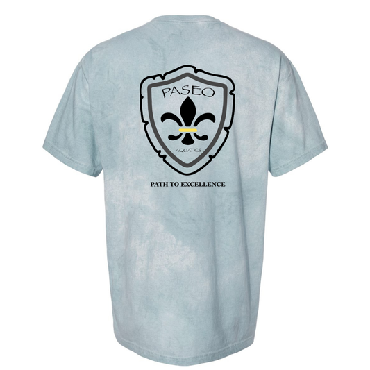 Paseo Aquatics Colorblast Tee - Ocean