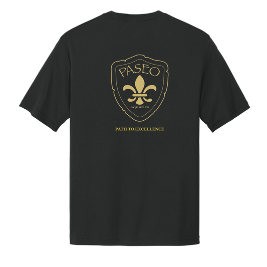 Dri-Fit Paseo Aquatics Tee - Black