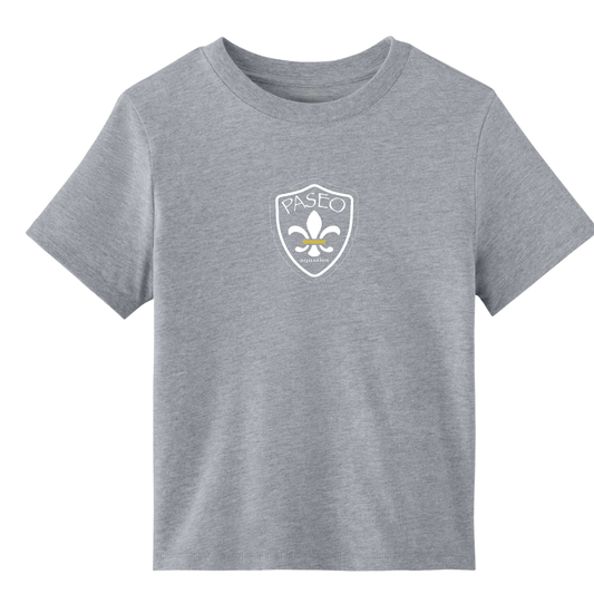 Paseo Aquatics Women's 6 oz. Heavyweight Tee - Heather Grey