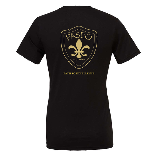 YOUTH Paseo Aquatics Unisex Tee - Black