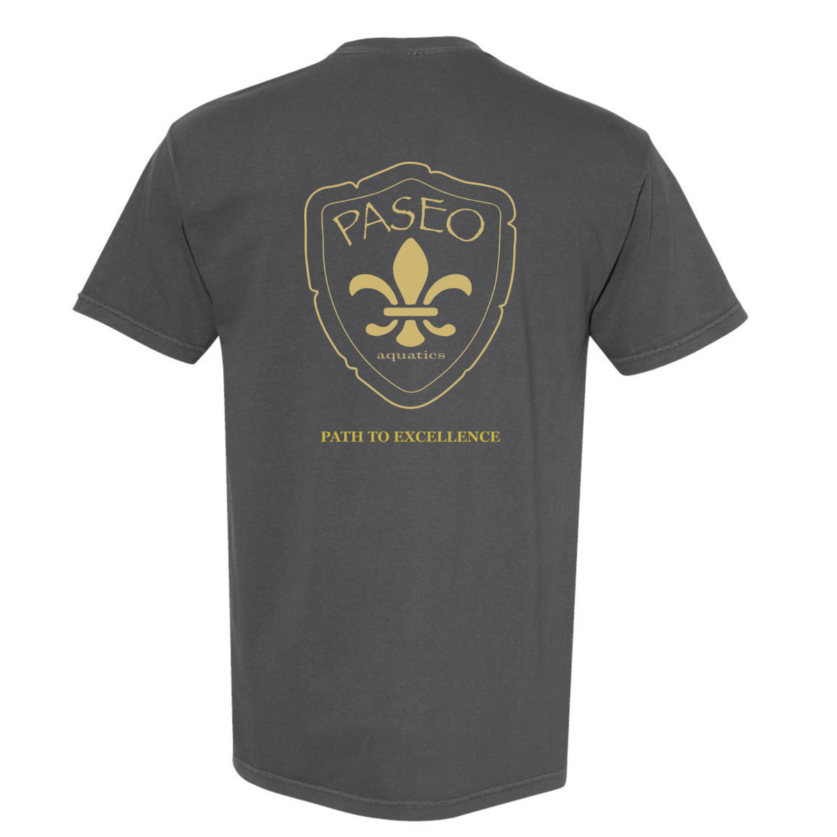 Paseo Aquatics Garment-Dyed Heavyweight T-Shirt - Pepper