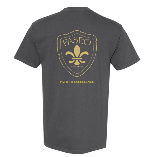 Paseo Aquatics Garment-Dyed Heavyweight T-Shirt - Pepper