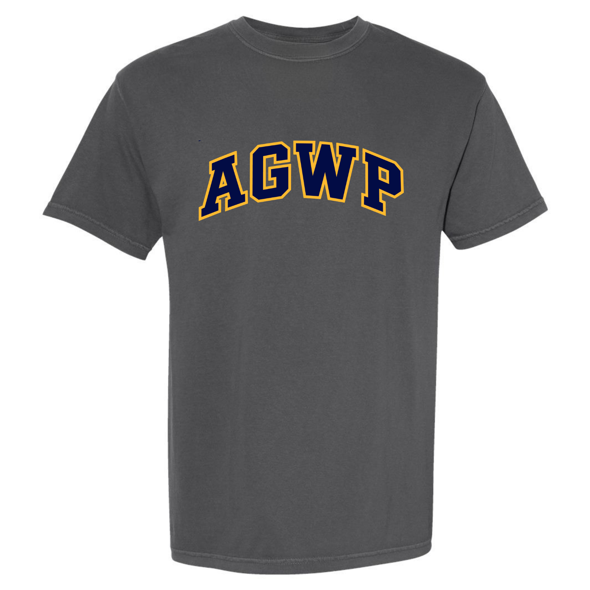 AGWP Logo Garment Dyed Tee - Pepper