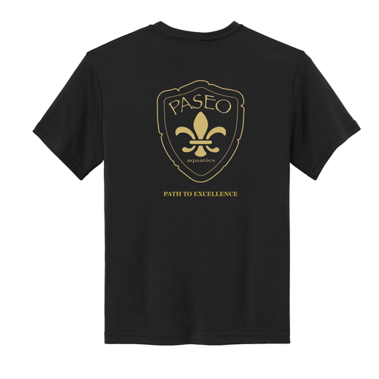 YOUTH Paseo Aquatics Dri Fit Tee - Black