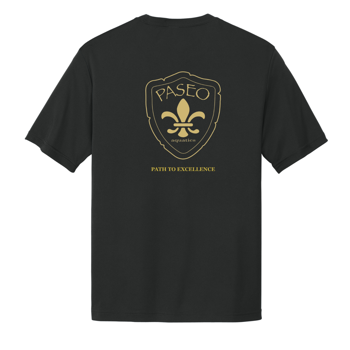 Dri-Fit Paseo Aquatics Tee - Black