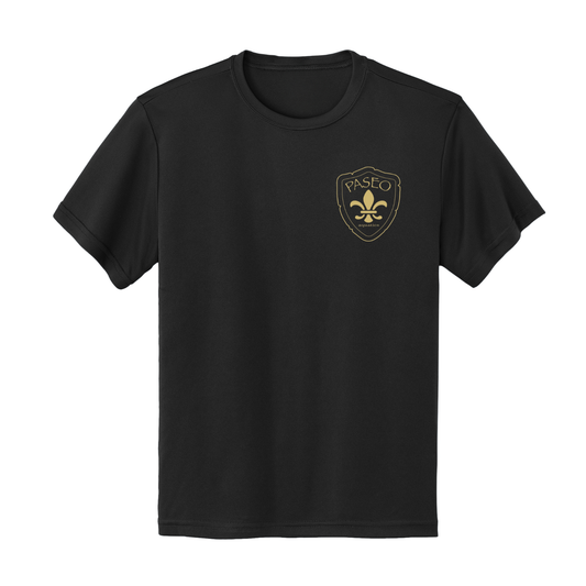 YOUTH Paseo Aquatics Dri Fit Tee - Black